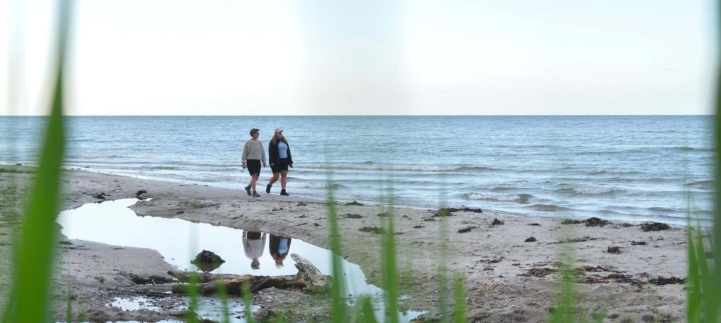 Machen Sie einen Spaziergang entlang der Küste am Storebælt am Teglværksskoven in Nyborg