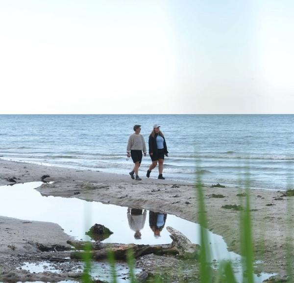 Machen Sie einen Spaziergang entlang der Küste am Storebælt am Teglværksskoven in Nyborg