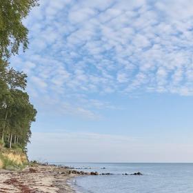 Kysten ved Teglværksskoven