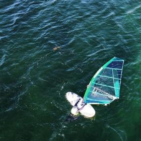 Windsurf i Storebælt