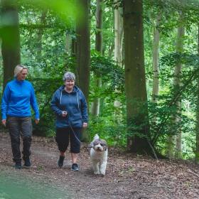 Machen Sie einen Spaziergang mit dem Hund im Ladegårdsskoven in Nyborg